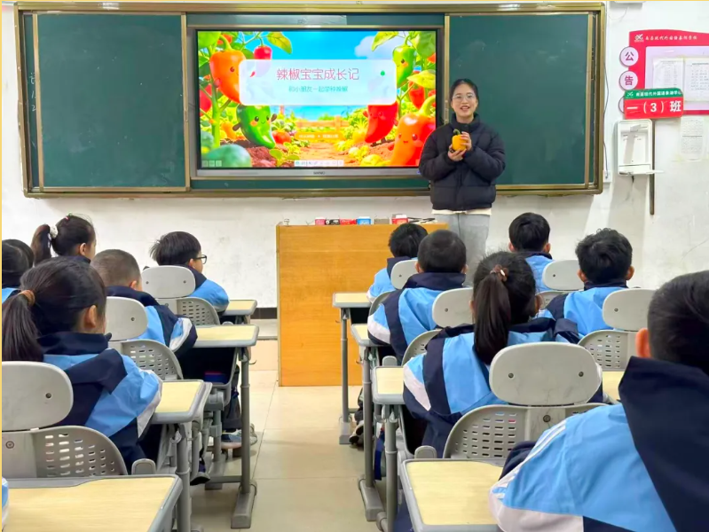 1774488231109365.png image.png