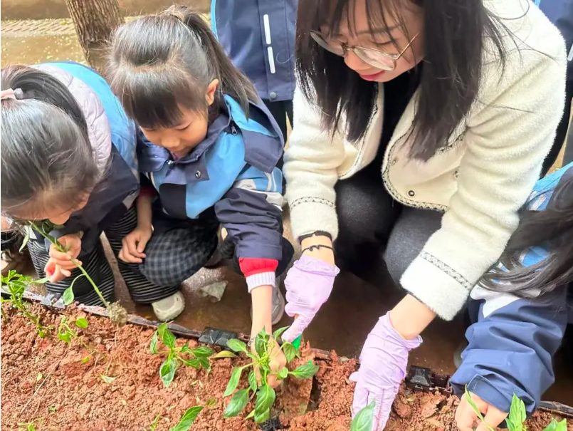 1774488287135644.png image.png