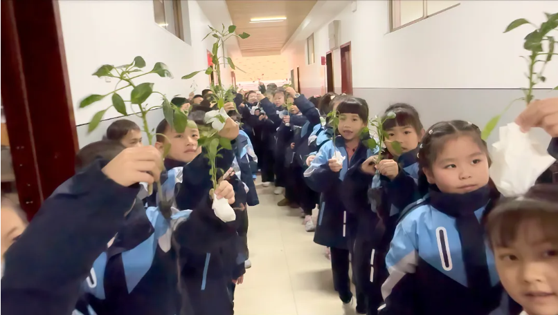 1774488351513197.png image.png